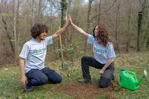2. Benefits and Challenges in Green Mentoring