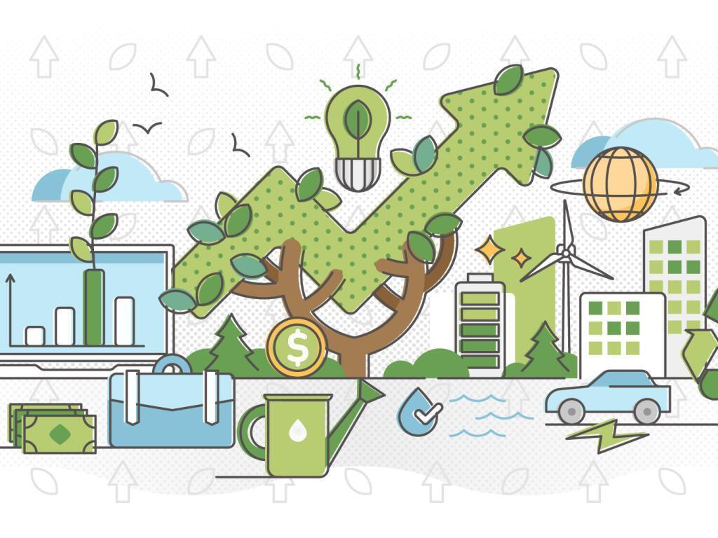 3. Key Skills for Green Mentors