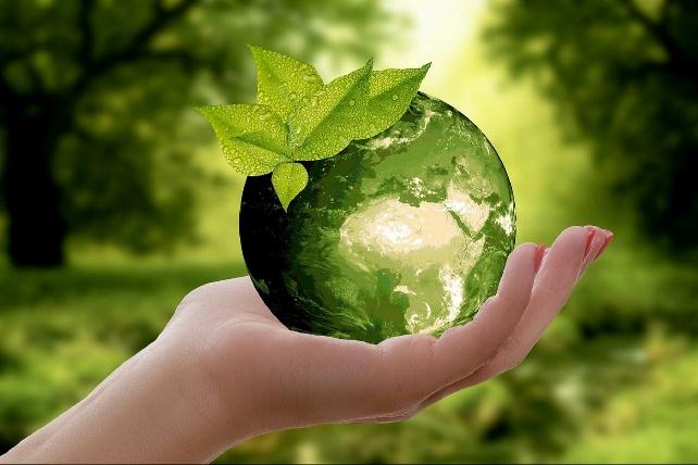 3. Supporting Green Startups