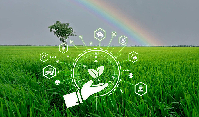 5a. Sustainable Agriculture and Food Tech